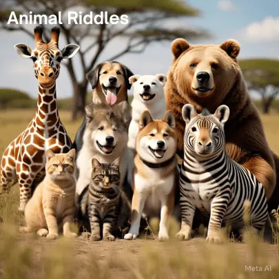 Animal Riddles