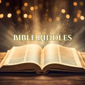 Bible Riddles