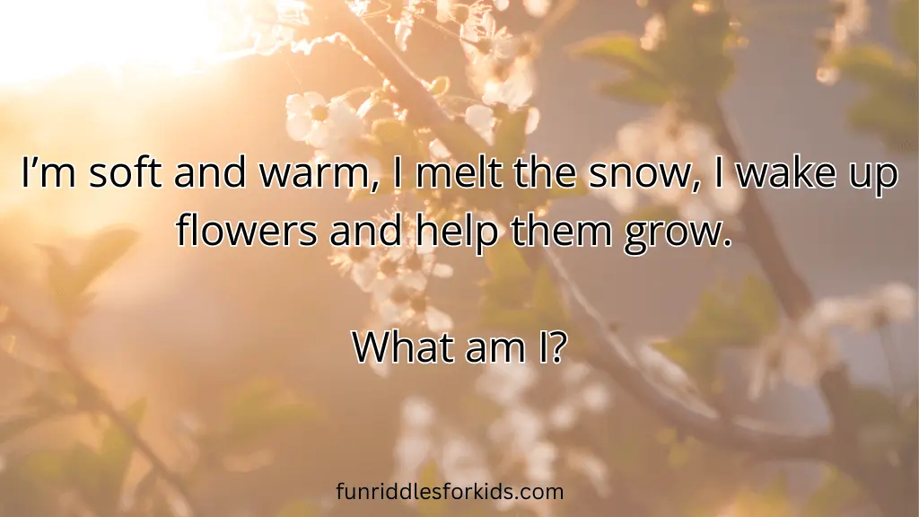 Spring Riddles