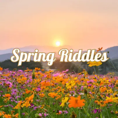 Spring Riddles