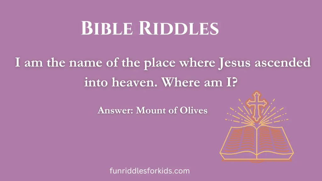 Bible Riddles