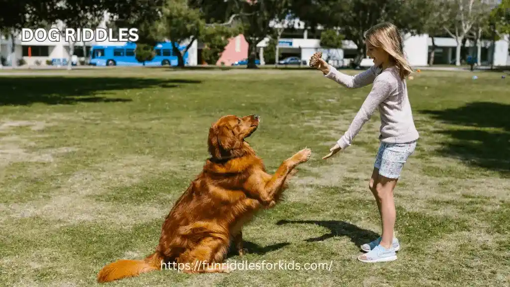 Dog Riddles with Answers