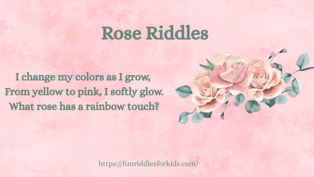 Rose Riddles with Answers 